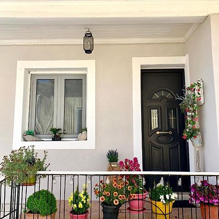 Leo'S City Apartment Lefkáda エクステリア 写真